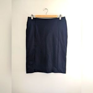 Ann Taylor skirt